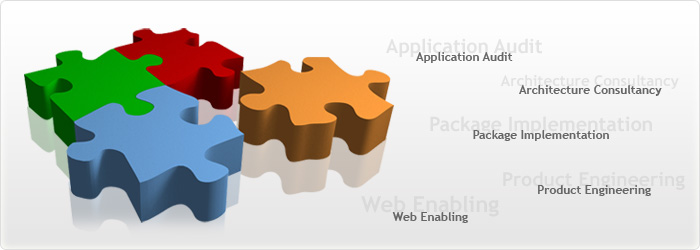 Online Applications and Software Development in Lucknow